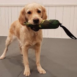 Dummyhylster camo til vandflaske